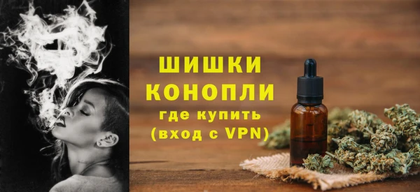 дмт Заводоуковск