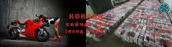 дмт Заводоуковск