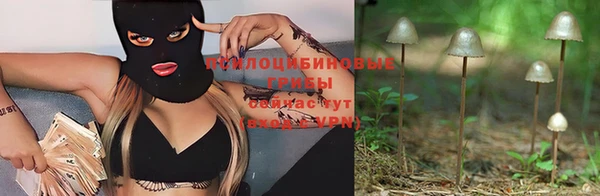 spice Заволжье