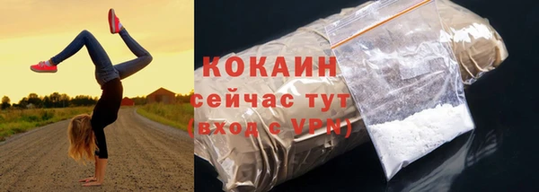 дмт Заводоуковск