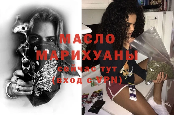 дмт Заводоуковск