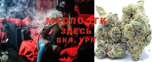дмт Заводоуковск