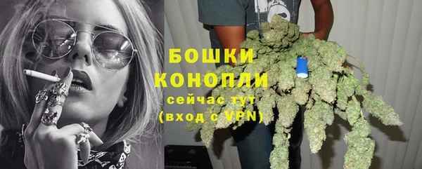 дмт Заводоуковск